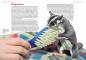 Preview: Der Sugar Glider